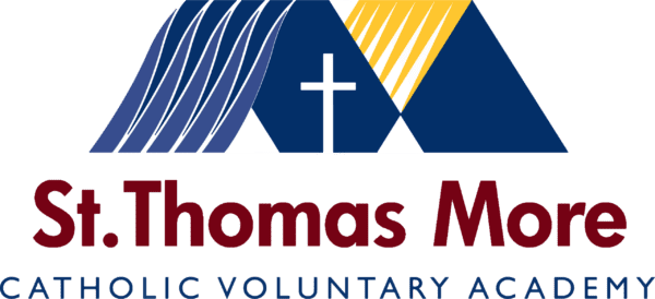 STM Logo